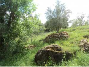 Promenade de printemps