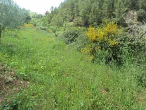 Promenade de printemps
