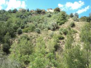 Promenade de printemps