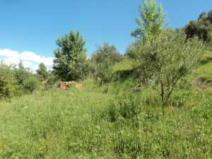Promenade de printemps