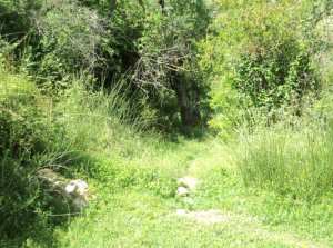 Promenade de printemps