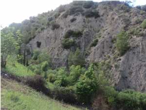 Promenade de printemps