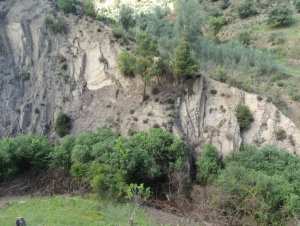 Promenade de printemps