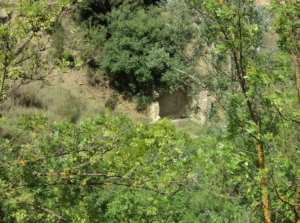 Promenade de printemps
