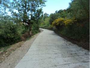 Promenade de printemps