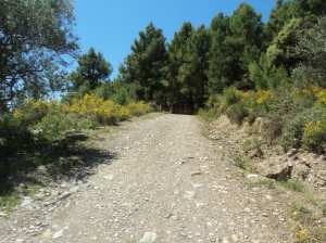 Lemroudj au printemps