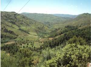 Lemroudj au printemps