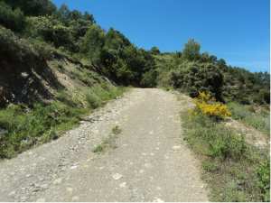 Lemroudj au printemps