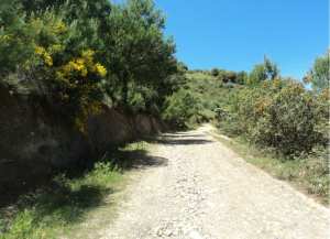 Lemroudj au printemps