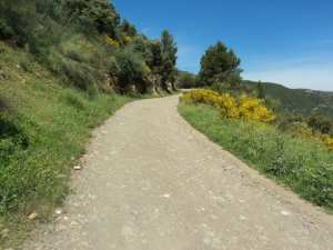 Lemroudj au printemps