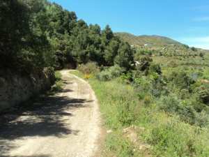 Lemroudj au printemps