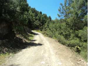 Lemroudj au printemps