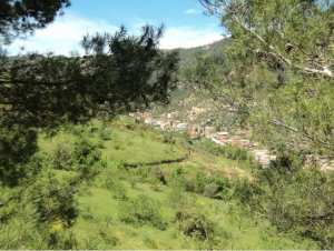 Lemroudj au printemps