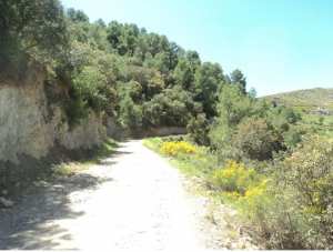 Photo du 30 avril 2020