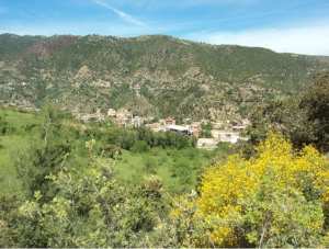 Lemroudj au printemps