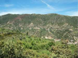 Lemroudj au printemps