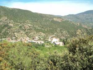 Lemroudj au printemps