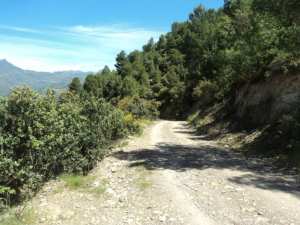 Lemroudj au printemps