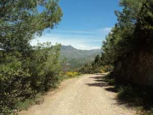 Lemroudj au printemps