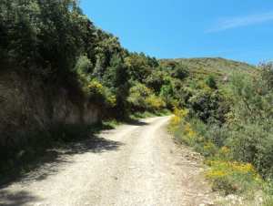 Lemroudj au printemps