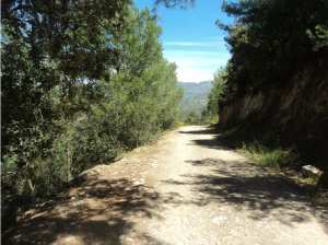 Lemroudj au printemps