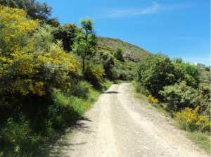 Lemroudj au printemps