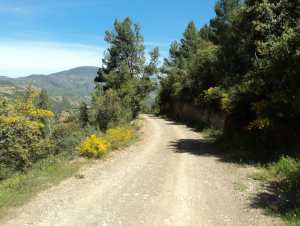 Lemroudj au printemps