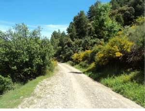 Lemroudj au printemps