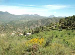 Lemroudj au printemps