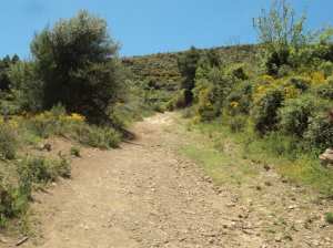 Lemroudj au printemps