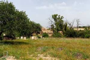 Cimetière de Ain El Hadjar (Commune de Hennaya - Tlemcen)