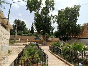 Ain Mililia 1928 (Commune de Hennaya - Tlemcen)