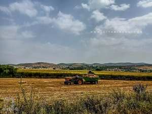 Agriculteurs du Village de Abouda (Commune de Hennaya)