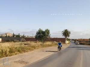 Ancienne Ferme coloniale entre Berrak et Tounane (Commune de Souahlia - Tlemcen)