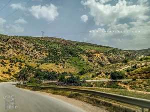 Route de Beni Mester venant de Hennaya