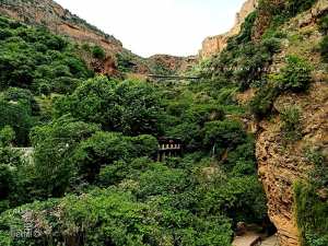 El-Ourit Waterfalls (Cascades ou chutes d'eau de Tlemcen)