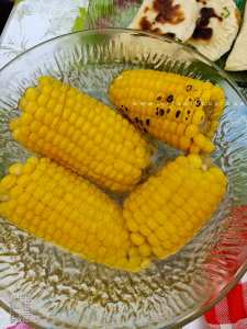 Le maïs est-il transgénique en Algérie?