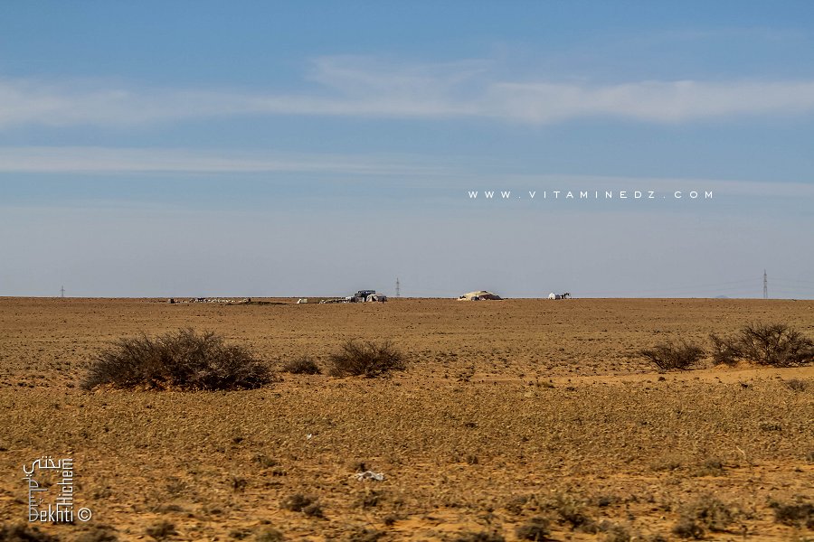 Bédouis Hmiyanes de la région de Mecheria