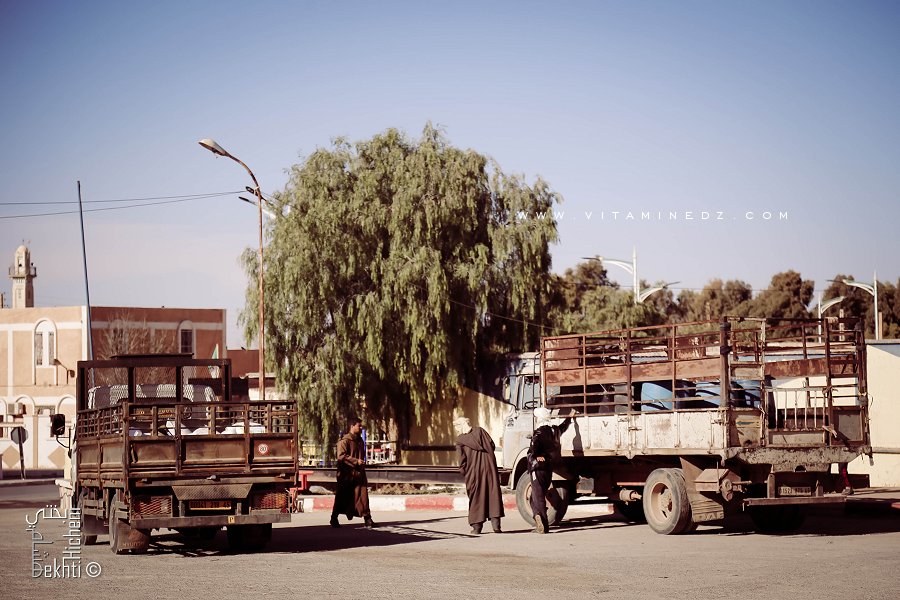 Mekmen Ben Ammar : Nomades de la région de Naama