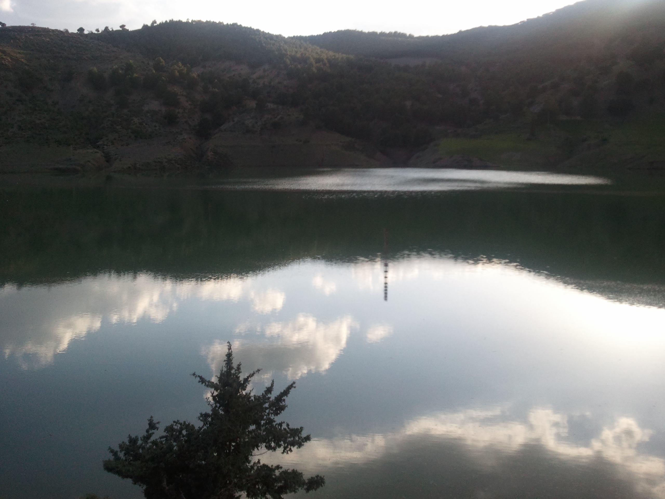 صنع الخالق الذي أتقن كل شيء