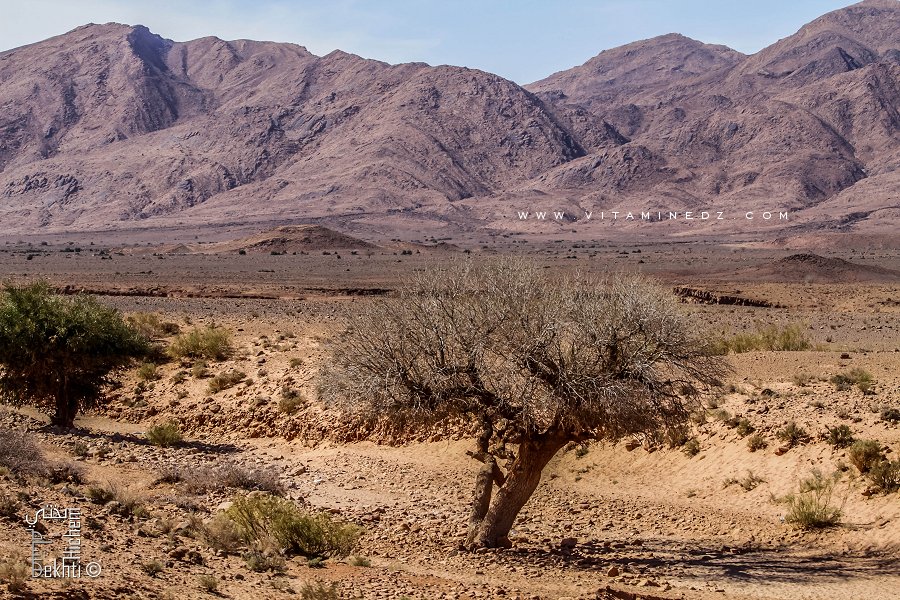 Route du Sud de Boussemghoun vers El Benoud (Wilaya d'El Bayadh)