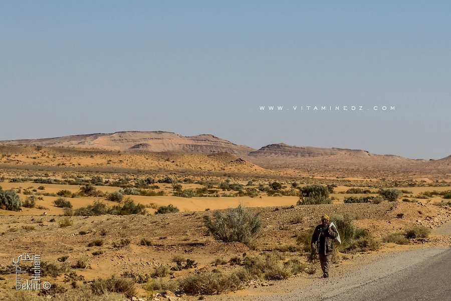 Marcher mieux que d'attendre un Bus qui ne passera peut-etre jamais