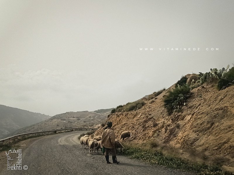 Mode de vie des bergers à l'ancienne (Oulhaça El Ghraba)