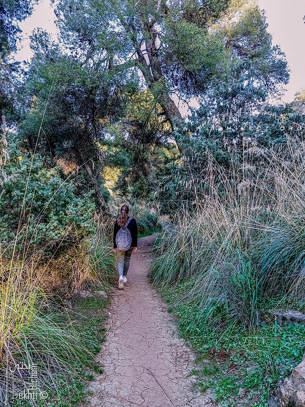 Sentiers de la foret du petit perdreau à Tlemcen pour marche et jogging