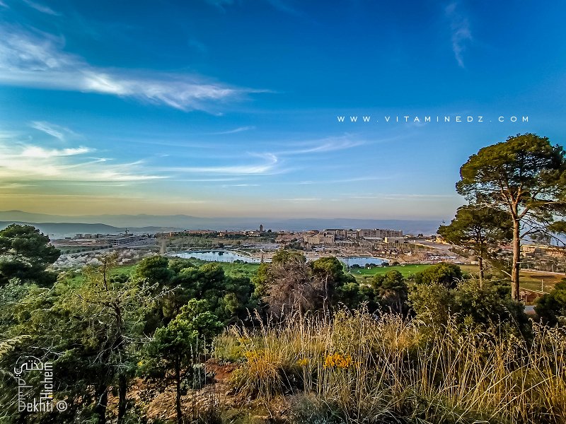 Vue panoramique du plateau de Lalla Setti à partir de la Fôret du petit perdreau (Parc National de Tlemcen)