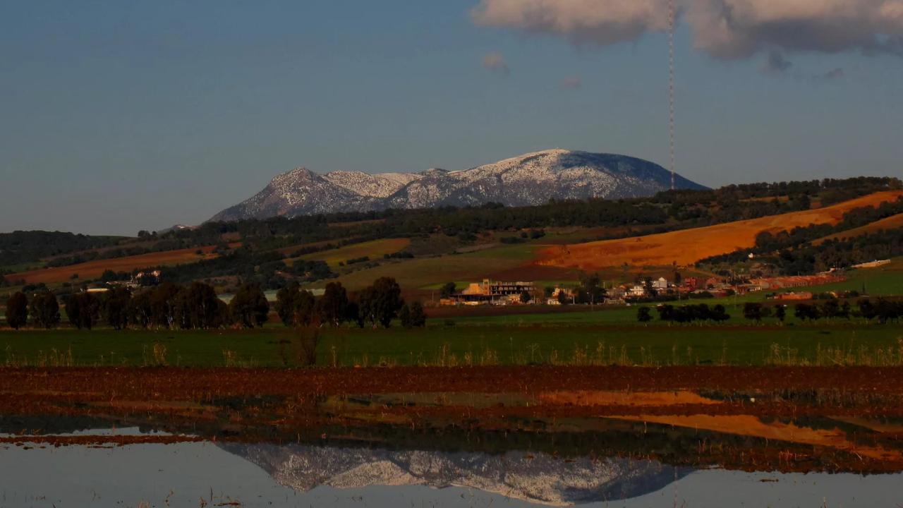 Photos : Tipaza... !