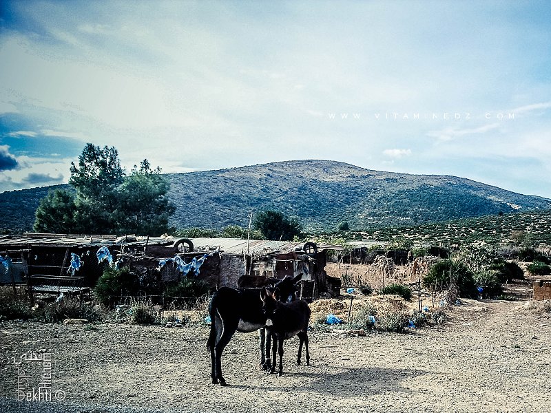 Le village de Tagma non loin de Oued Chouly