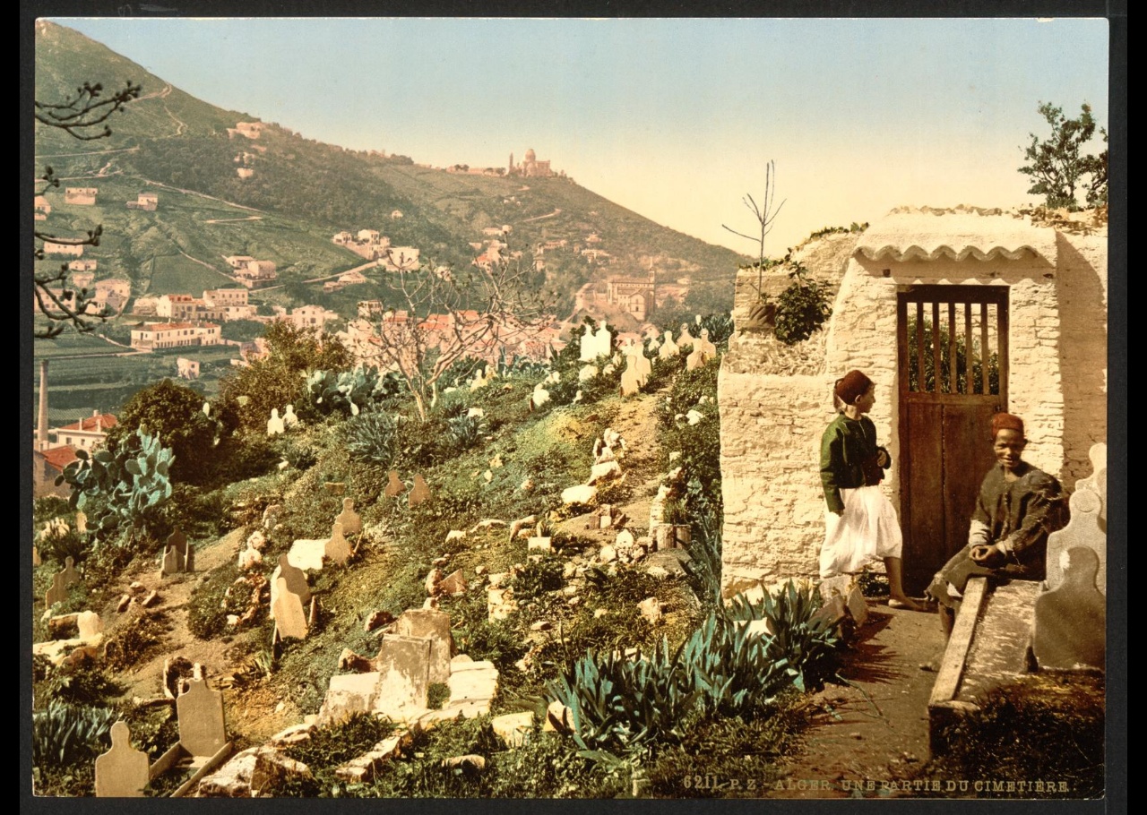 Partie du cimetière. Alger (Algérie)