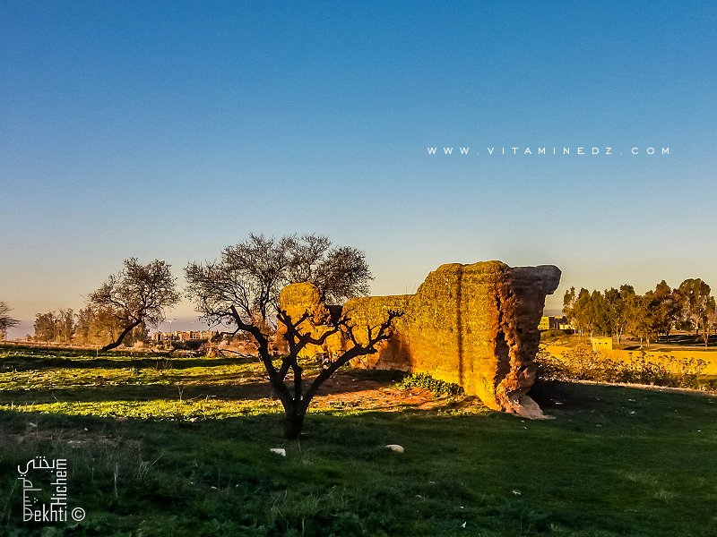 Sour (Muraille) à Tlemcen du coté de Kiffane les Dahlias ou ce qu'il en reste