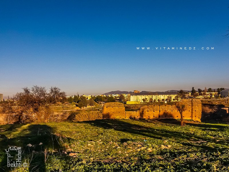 La muraille d'El mansoura à Tlemcen arrivant jusqu'à El Kiffane (Les Dahlias)